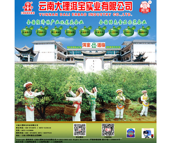 云南網(wǎng)站建設、昆明網(wǎng)站建設、云南網(wǎng)站制作、昆明網(wǎng)站制作、云南微網(wǎng)站制作、云南網(wǎng)站優(yōu)化推廣、大理網(wǎng)站建設、麗江網(wǎng)站建設、大理網(wǎng)站制作、麗江網(wǎng)站制作、保山網(wǎng)站建設、德宏網(wǎng)站建設、文山網(wǎng)站建設、楚雄網(wǎng)站建設、紅河網(wǎng)站建設、云南政府網(wǎng)站建設、普洱網(wǎng)站建設